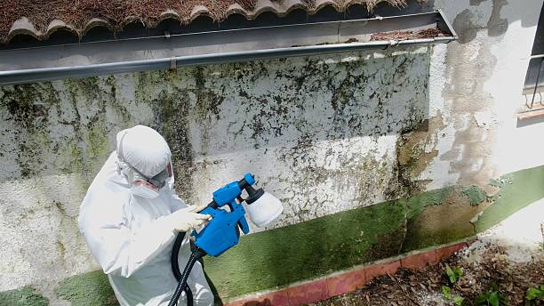 Top rated local Commercial Mold Remediation specialists in Severance, CO